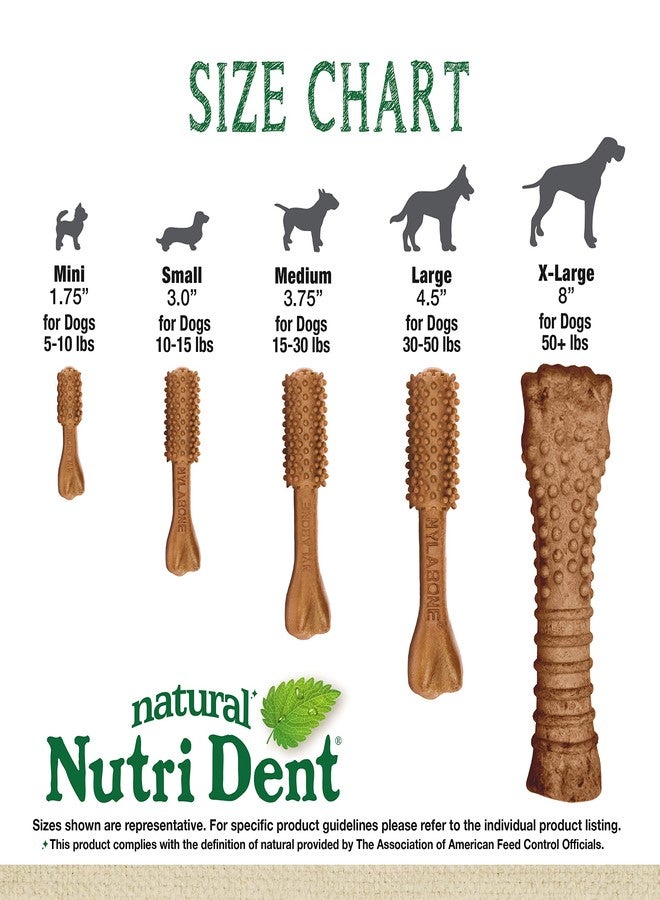 Nylabone Nutri Dent Dog Dental Chews - Natural Dog Teeth Cleaning & Breath Freshener - Dental Treats for Dogs - Filet Mignon Flavor, Medium (20 Count) - Image 3